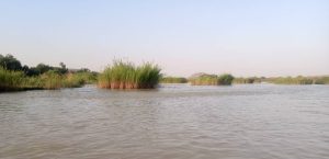 Le fleuve Sénégal de plus en plus trouble et ensablé