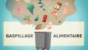 Gaspillage alimentaire : Plus d’un tiers de la production mondiale perdu