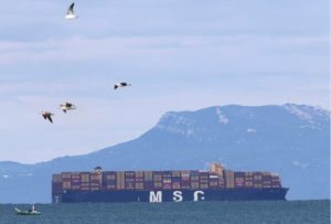 Economie : MSC impose une surcharge « guerre » sur les expéditions vers l’Afrique et les îles de l’océan Indien