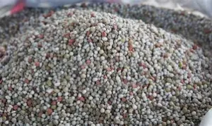 Conflit au Proche et Moyen Orient : l&rsquo;Afrique, la plus touchée par les pertes d&rsquo;importations d&rsquo;engrais