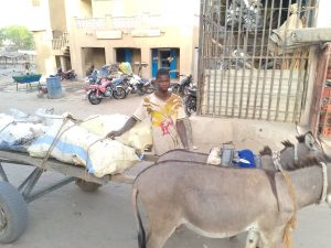 Youwarou : Vente du bois de cuisine dans des sacs d’emballage, une nouvelle pratique
