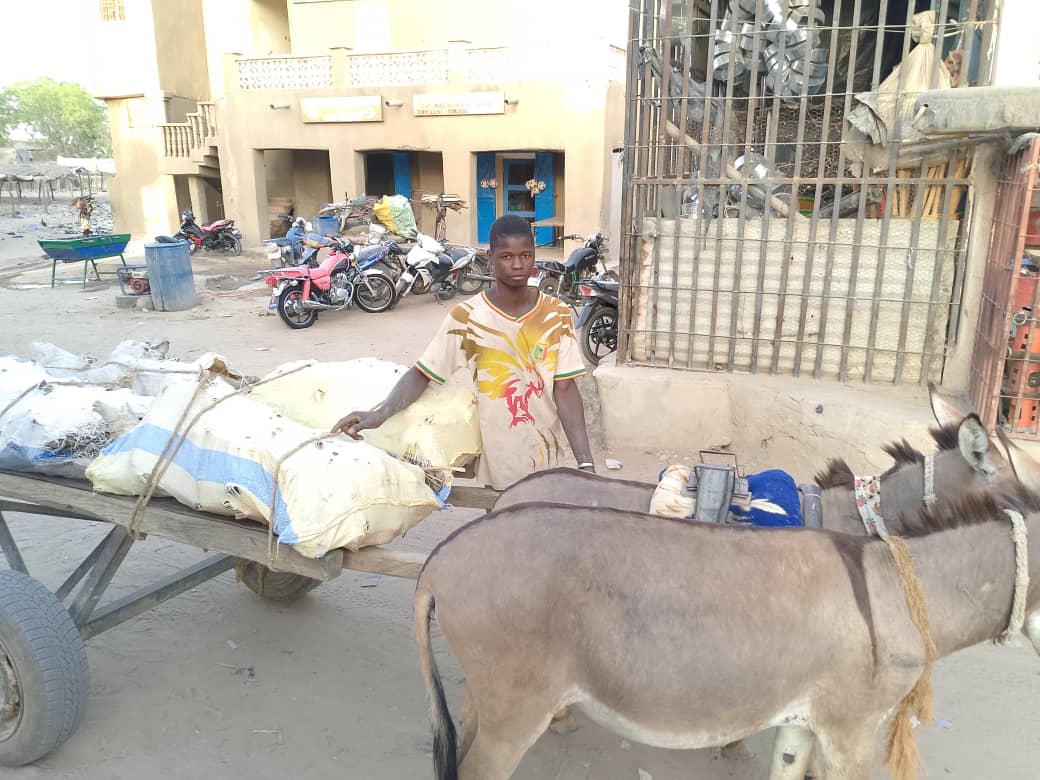 Youwarou : Vente du bois de cuisine dans des sacs d’emballage, une nouvelle pratique