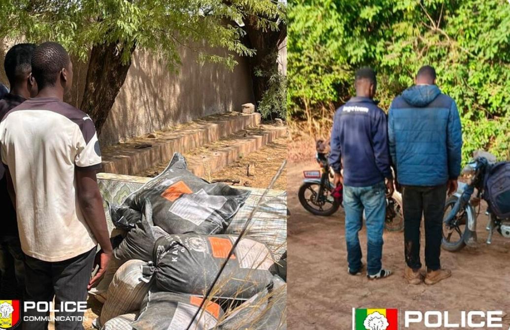 Actualité : La police sénégalaise saisit 400 kg de cyanure et 250 kg de zinc destinés à l’orpaillage clandestin à Kidira