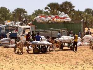 Diafarabé : un important convoi de vivres ravitaille la population