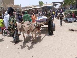 Youwarou :  consommation de l’eau du sachet dans le Delta Central du Niger, une aubaine pour les populations