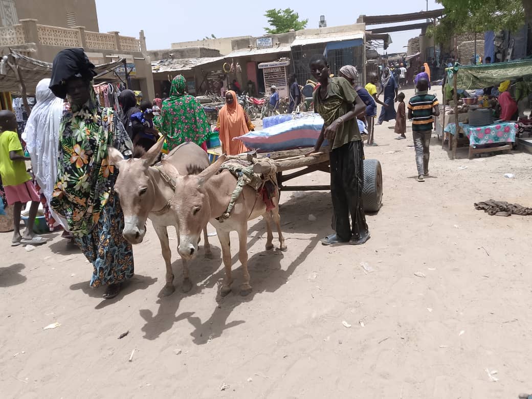 Youwarou :  consommation de l’eau du sachet dans le Delta Central du Niger, une aubaine pour les populations