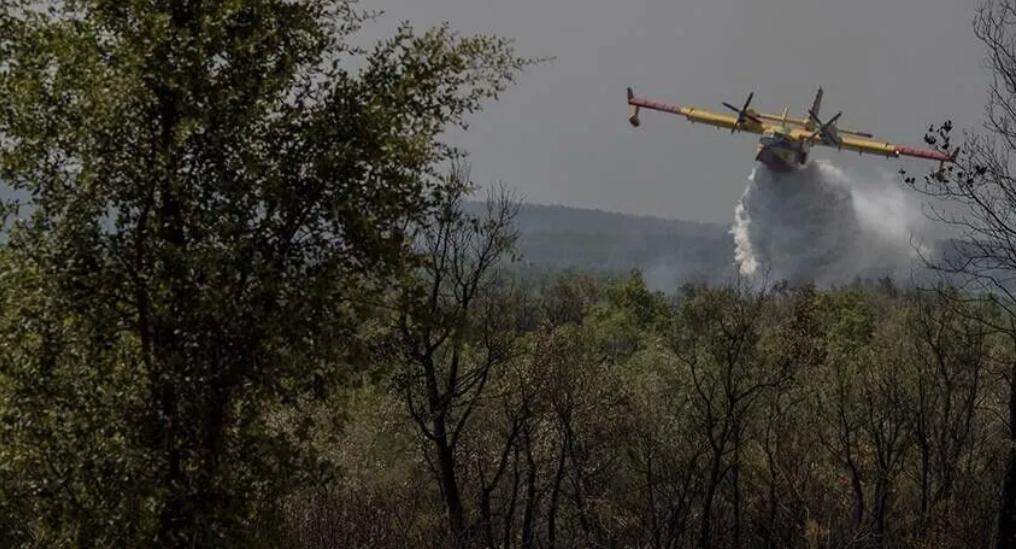 Maroc : les incendies de forêt de Tétouan et Taroudant maîtrisés, 12 hectares brûlés