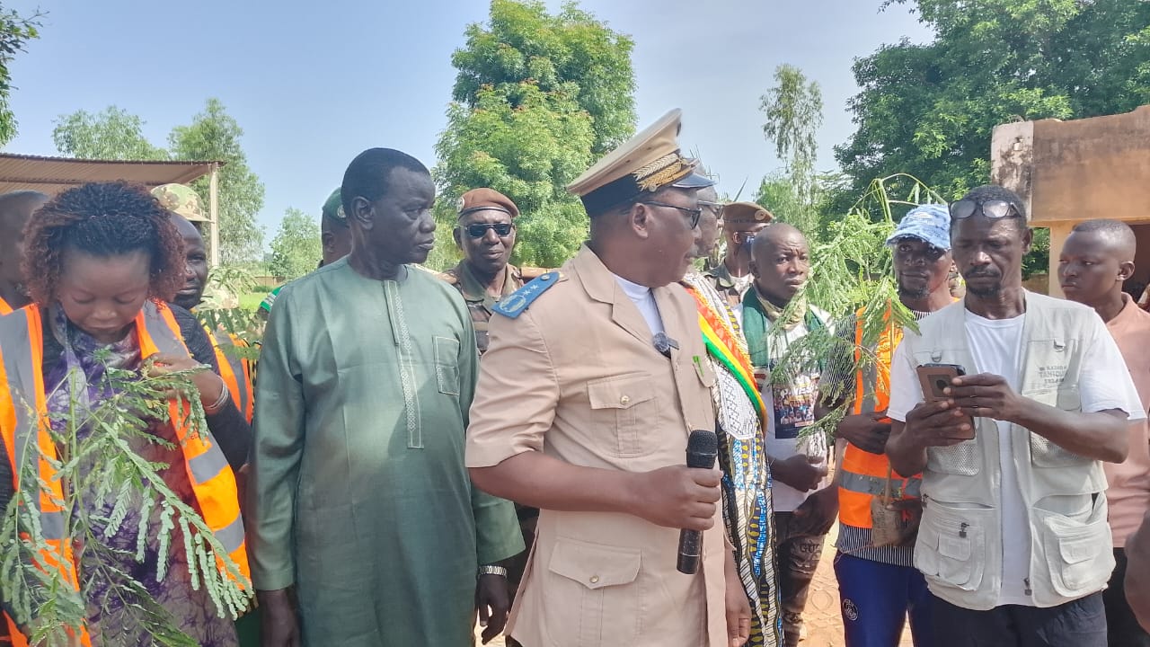 Bafoulabé : campagne nationale de reboisement et citoyenneté environnementale