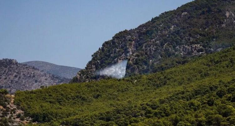 Actualité : La Grèce place Athènes et deux régions en alerte rouge en raison du risque d’incendies