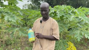 Ouéléssébougou : Herbicides, avantages et inconvénients sur l&rsquo;environnement et la vie humaine