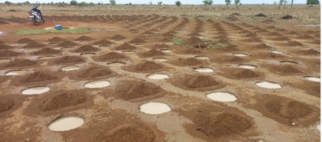 San : face à l’insuffisance des pluies, les spécialistes préconisent des pratiques résilientes