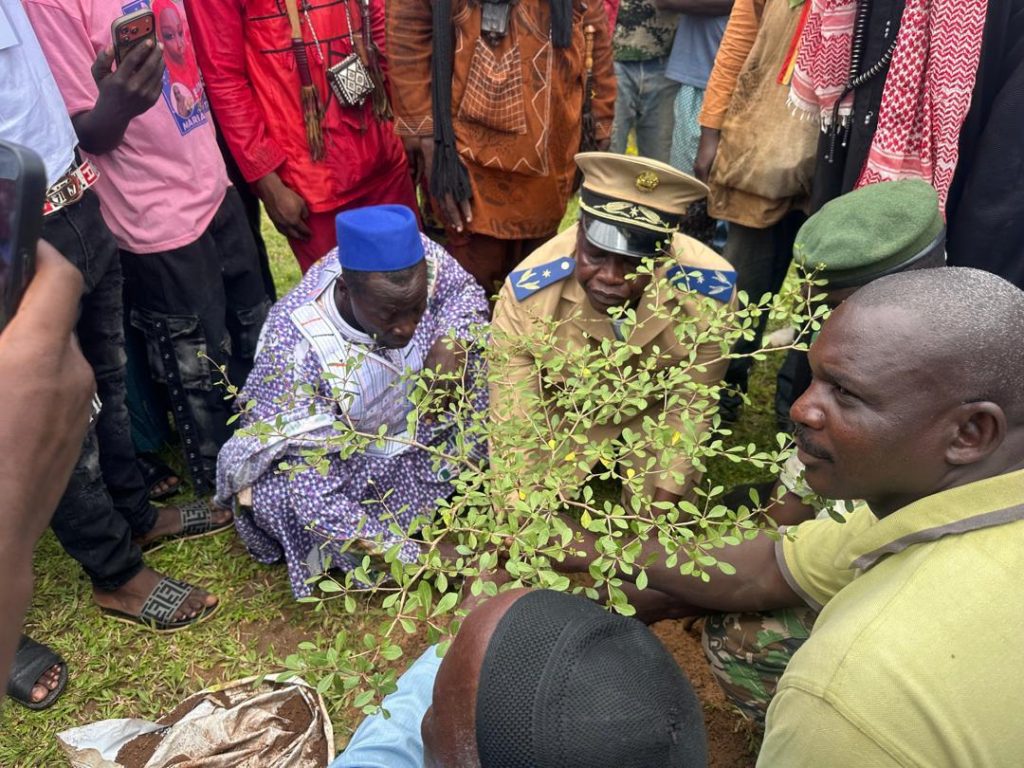 Kangaba : campagne de reboisement dans les communes rurales de Minidian et de Kaniogo