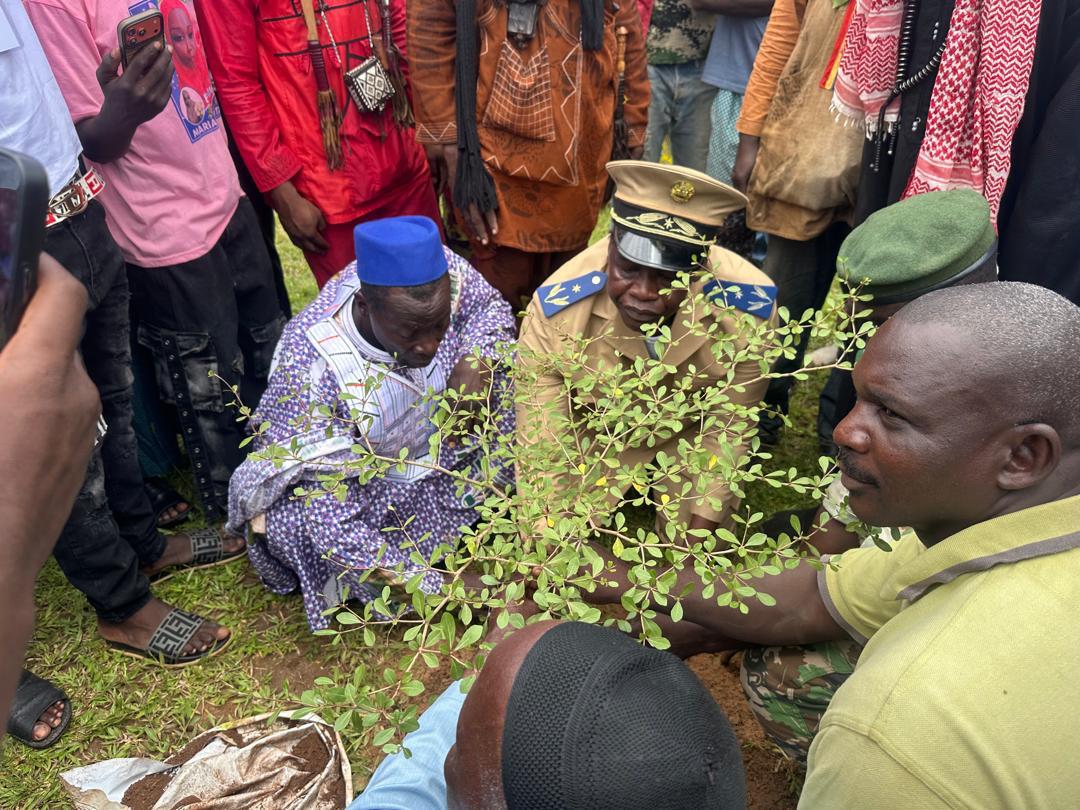 Kangaba : campagne de reboisement dans les communes rurales de Minidian et de Kaniogo