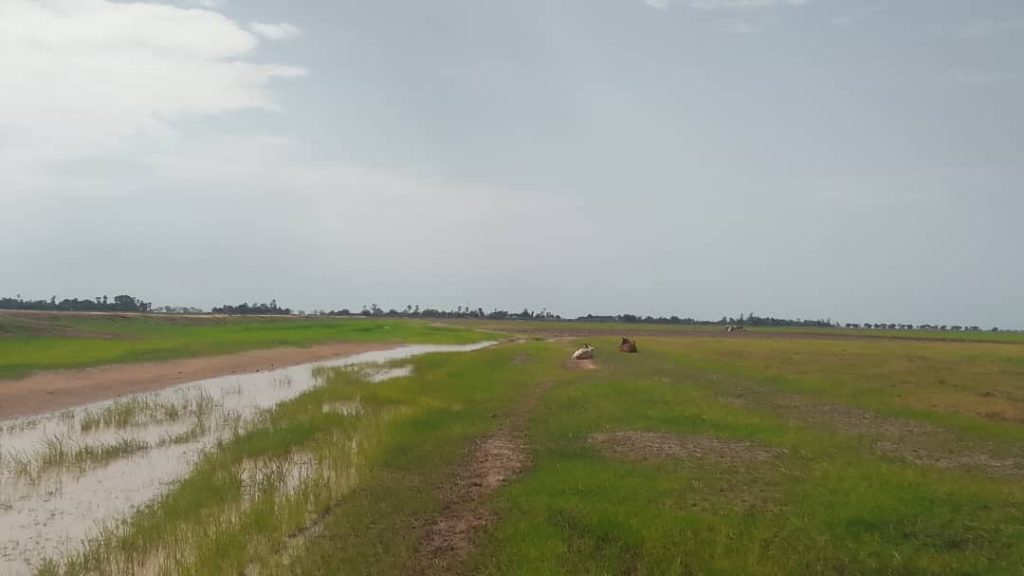 Tenenkou : La campagne agricole démarre avec des inquiétudes