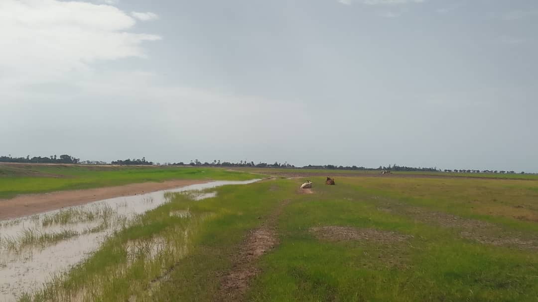 Tenenkou : La campagne agricole démarre avec des inquiétudes