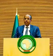 Algérie : l’Union africaine exprime sa solidarité après les incendies