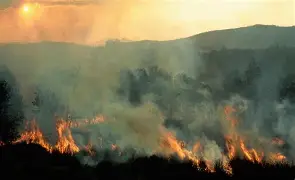 Burundi : le cinquième du parc de la Ruvubu ravagé par les incendies