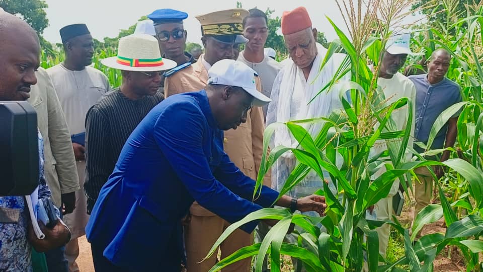 Vampagne agricole 2026-2027 : le ministre de l&rsquo;Agriculture visite des champs à Dioila