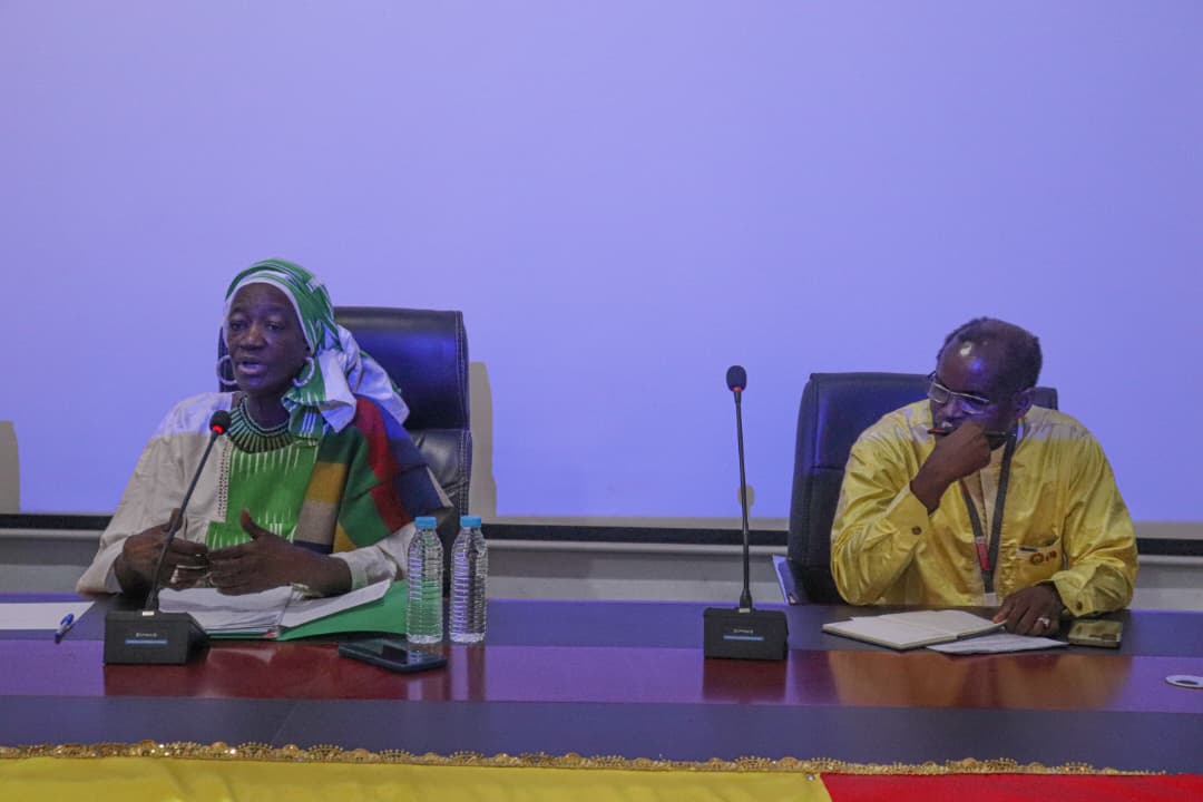 Médecine traditionnelle : le Mali mise sur la recherche, la valorisation et l’industrialisation