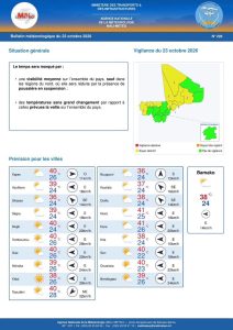 Mali : la poussière réduira la visibilité dans les régions du Nord, selon MALI-METEO
