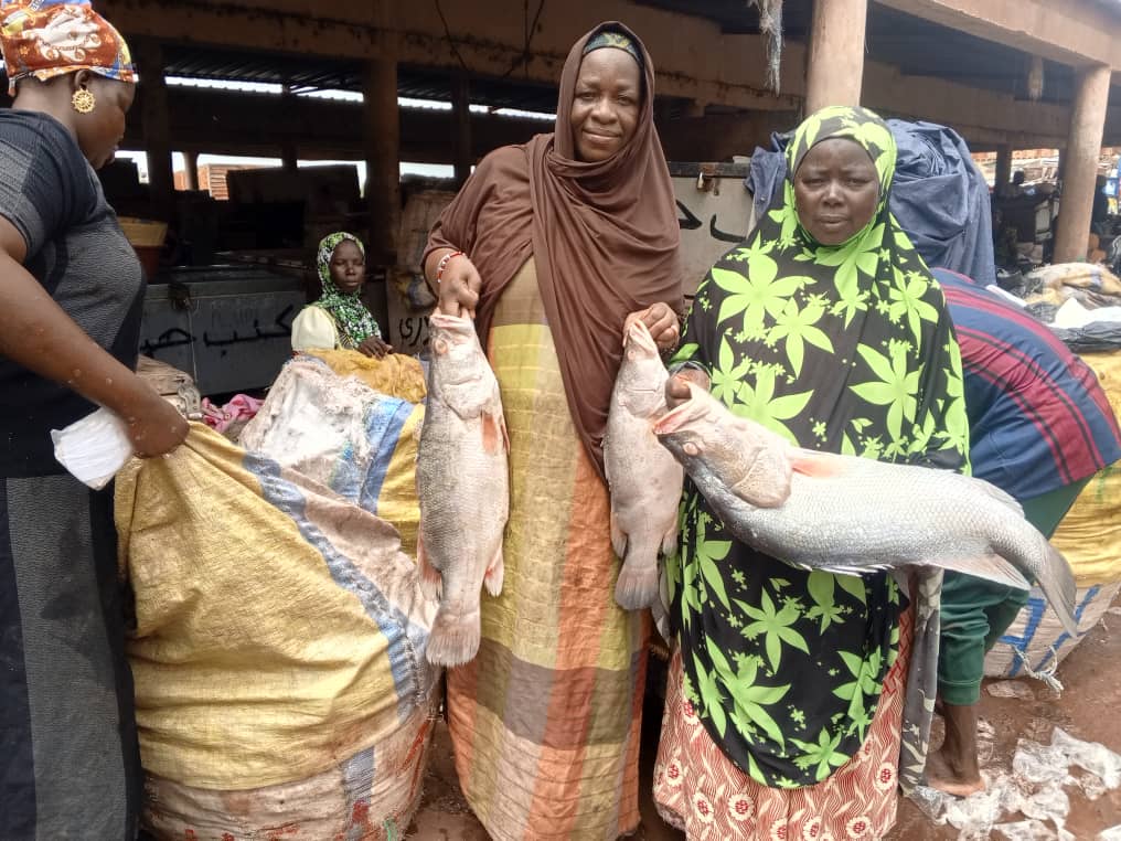Mopti : Les femmes, actrices majeures de la Filière poisson dans le delta du Niger