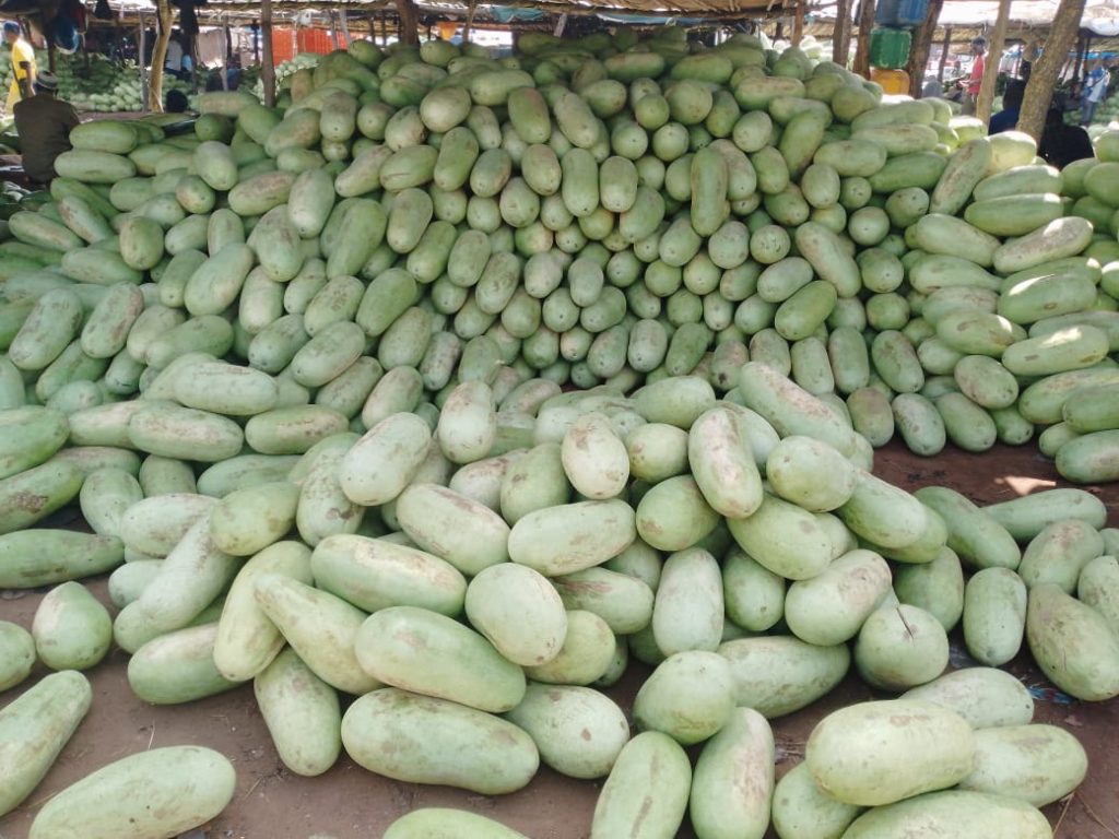 Vente de pastèque à Bamako : un commerce juteux confronté aux défis de production et de conservation