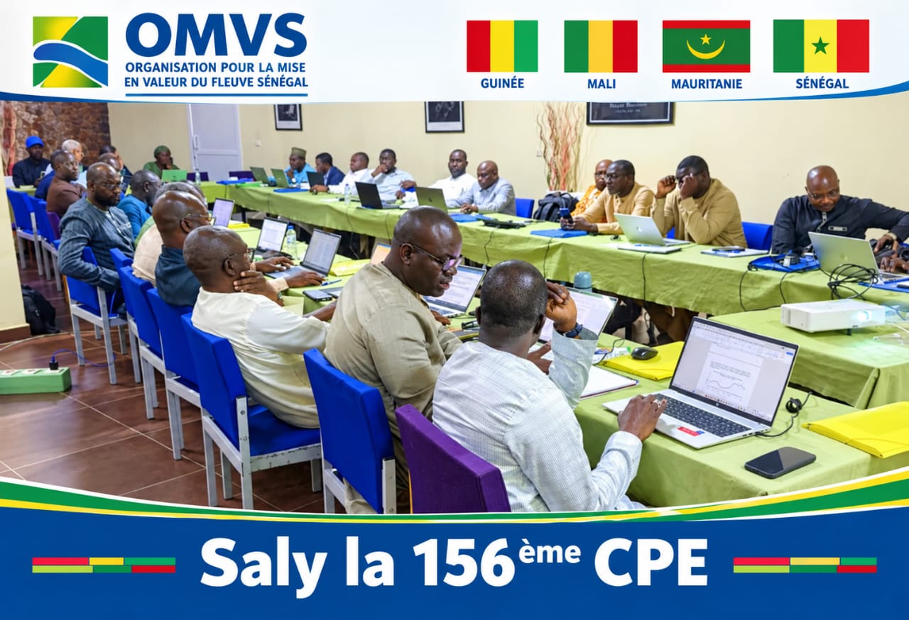 OMVS : la Guinée prend la présidence de la Commission permanente des eaux